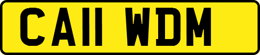 CA11WDM