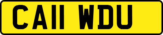 CA11WDU
