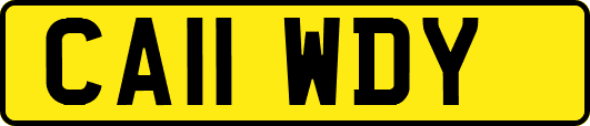 CA11WDY