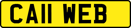 CA11WEB