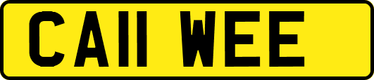 CA11WEE