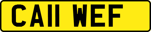 CA11WEF
