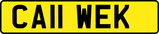 CA11WEK