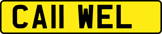 CA11WEL