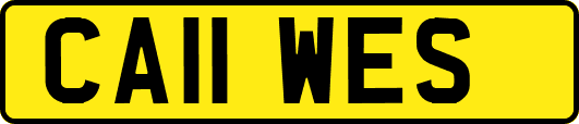 CA11WES