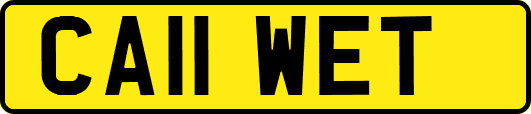 CA11WET