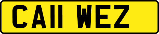 CA11WEZ
