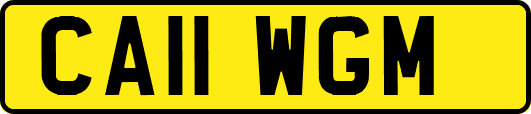 CA11WGM