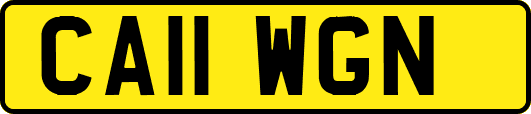 CA11WGN
