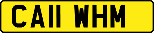 CA11WHM