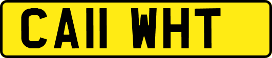 CA11WHT