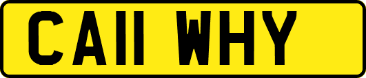 CA11WHY