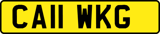 CA11WKG