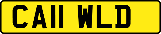 CA11WLD