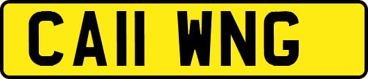 CA11WNG