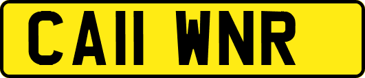 CA11WNR