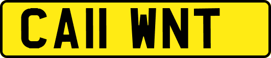 CA11WNT