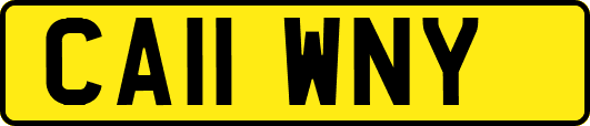 CA11WNY