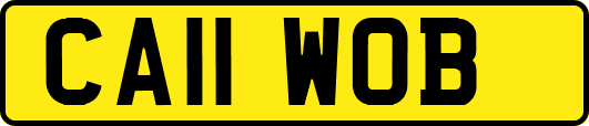 CA11WOB