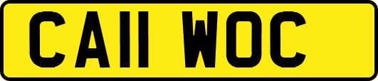 CA11WOC