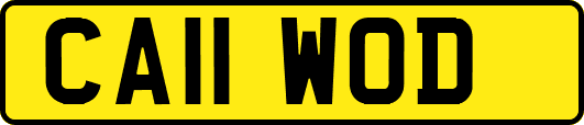 CA11WOD
