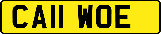 CA11WOE