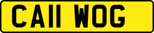 CA11WOG