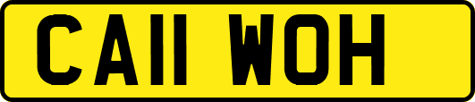 CA11WOH