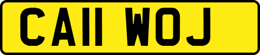 CA11WOJ