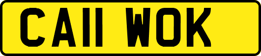 CA11WOK
