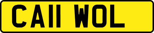 CA11WOL