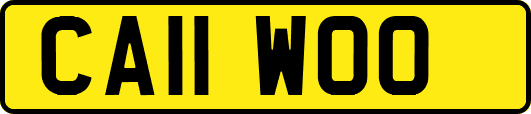 CA11WOO
