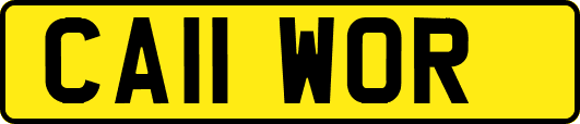 CA11WOR