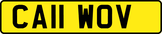 CA11WOV