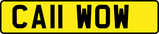 CA11WOW