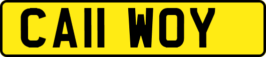 CA11WOY