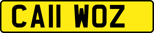 CA11WOZ