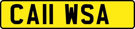 CA11WSA