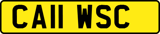 CA11WSC