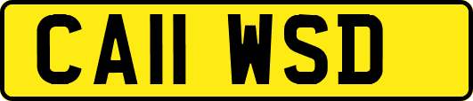 CA11WSD