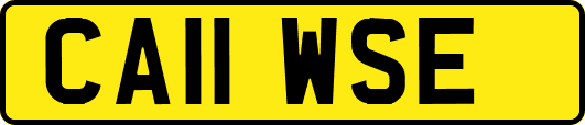 CA11WSE