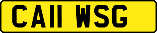 CA11WSG