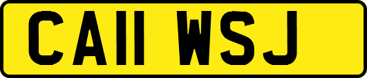 CA11WSJ