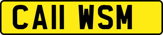 CA11WSM