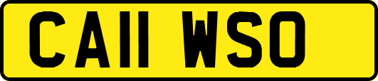 CA11WSO