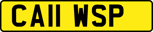 CA11WSP