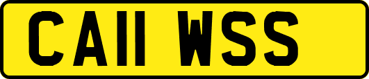 CA11WSS