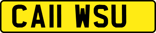 CA11WSU