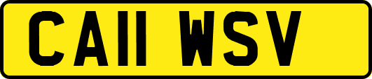 CA11WSV