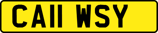 CA11WSY